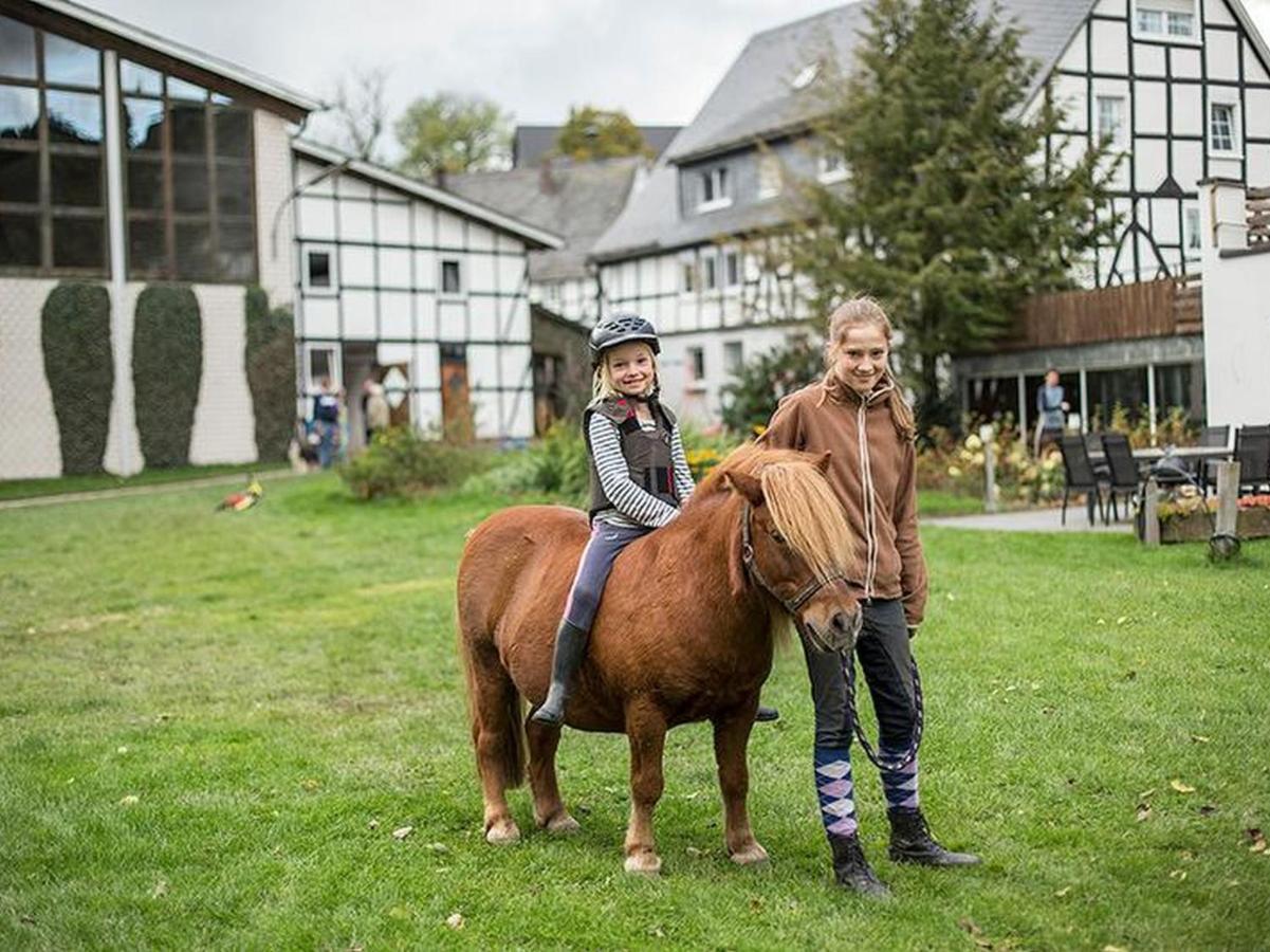 Riekeshof Apartman Schmallenberg Kültér fotó